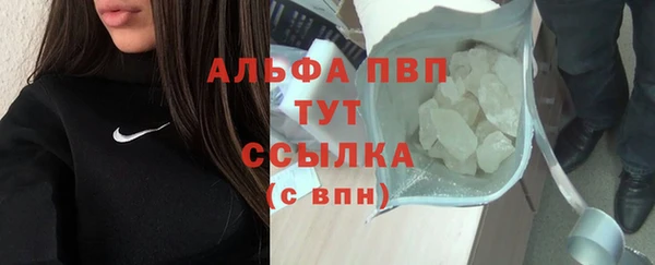 PSILOCYBIN Ладушкин