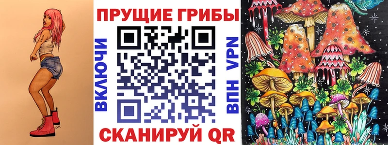 Галлюциногенные грибы Cubensis  darknet официальный сайт  Кирсанов 